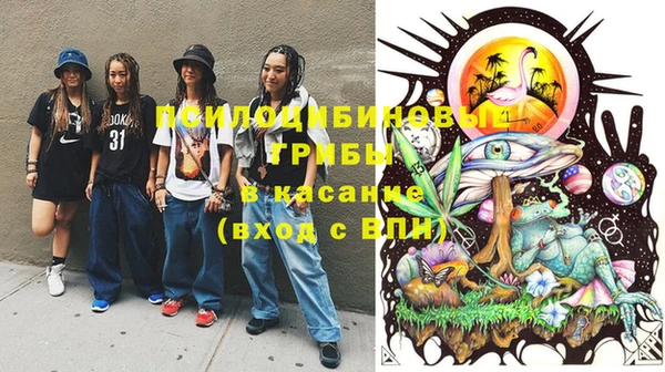 таблы Иннополис