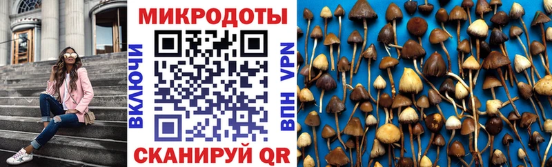 Псилоцибиновые грибы MAGIC MUSHROOMS  Купить  Гусиноозёрск 
